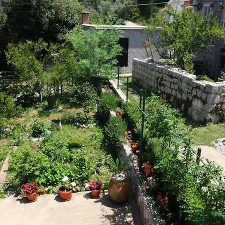 Baldo's Happy Garden- Brand New