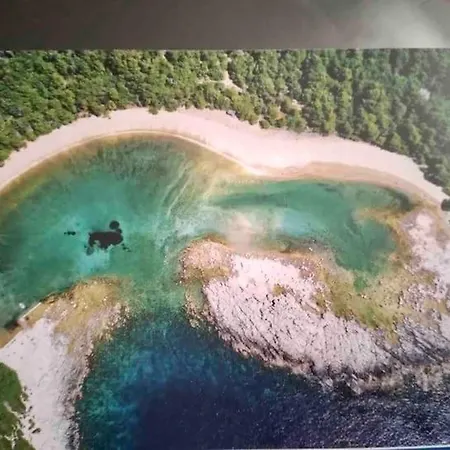 Baldo's Happy Garden- Brand New アパート