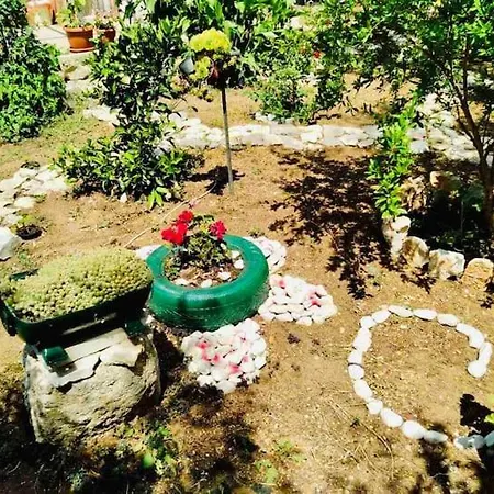 Baldo's Happy Garden- Brand New Korita