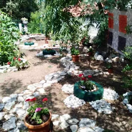 Baldo's Happy Garden- Brand New Korita