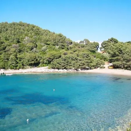 Baldo's Happy Garden- Brand New * Korita