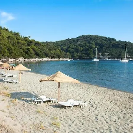 Baldo's Happy Garden- Brand New