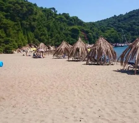 Baldo's Happy Garden- Brand New * Korita