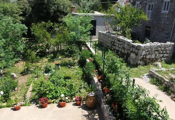 Baldo's Happy Garden- Brand New