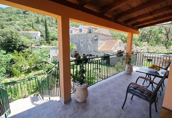 Baldo's Happy Garden- Brand New