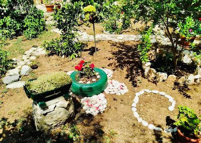 Baldo's Happy Garden- Brand New Korita