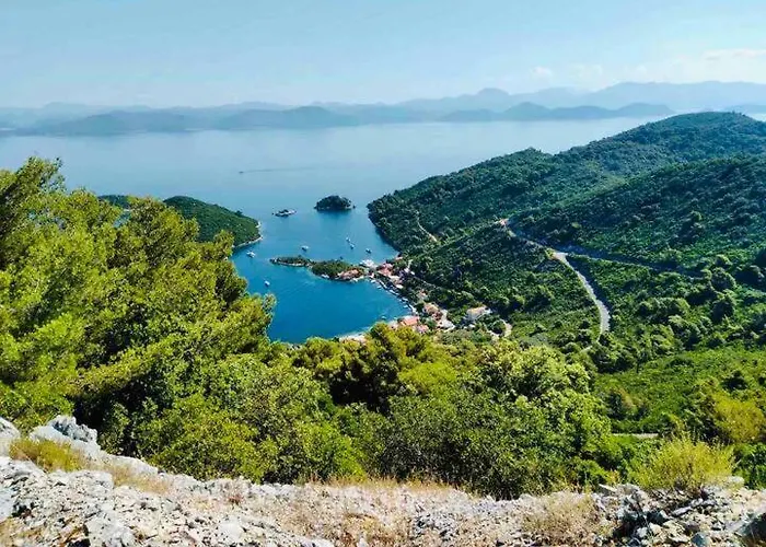 Baldo's Happy Garden- Brand New * Korita