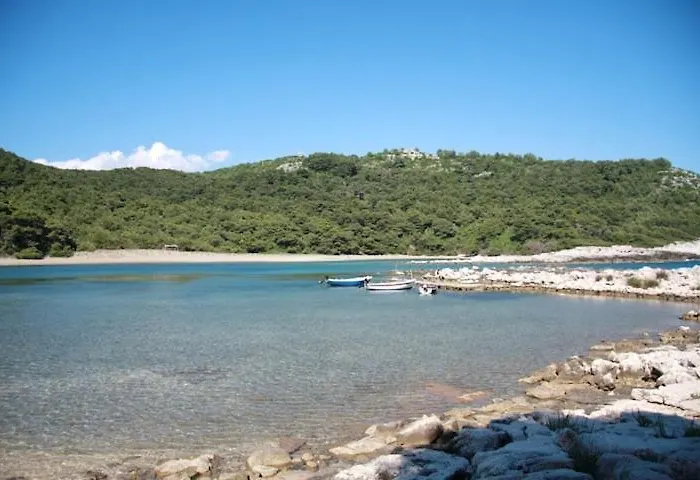 Baldo's Happy Garden- Brand New Lejlighed