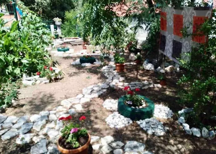 Baldo's Happy Garden- Brand New Korita