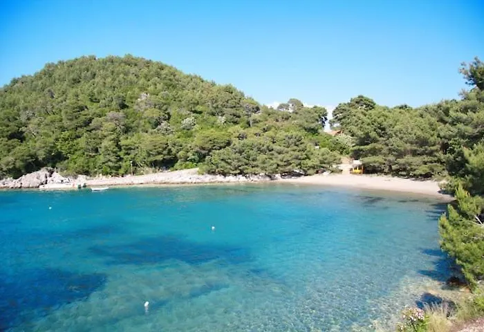 Baldo's Happy Garden- Brand New * Korita