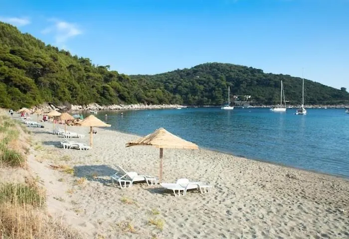 Baldo's Happy Garden- Brand New