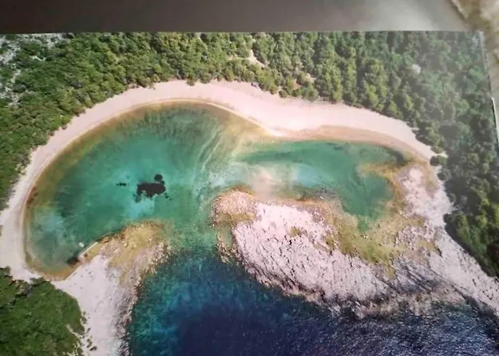 Baldo's Happy Garden- Brand New Lejlighed