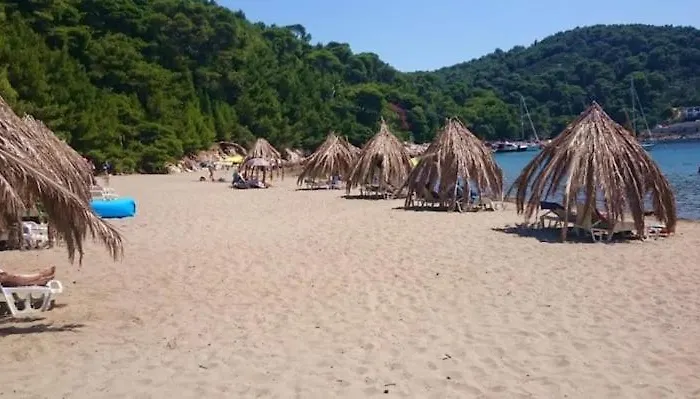 Baldo's Happy Garden- Brand New * Korita